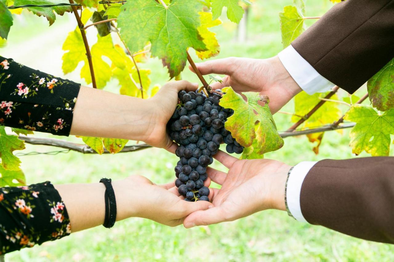 Ca Trifolera Barbaresco - Romantico Cascinale Con Antica Cantina Nel Cuore Delle Langhe - Degustazione Vini Nella Nostra Cantina Exterior foto